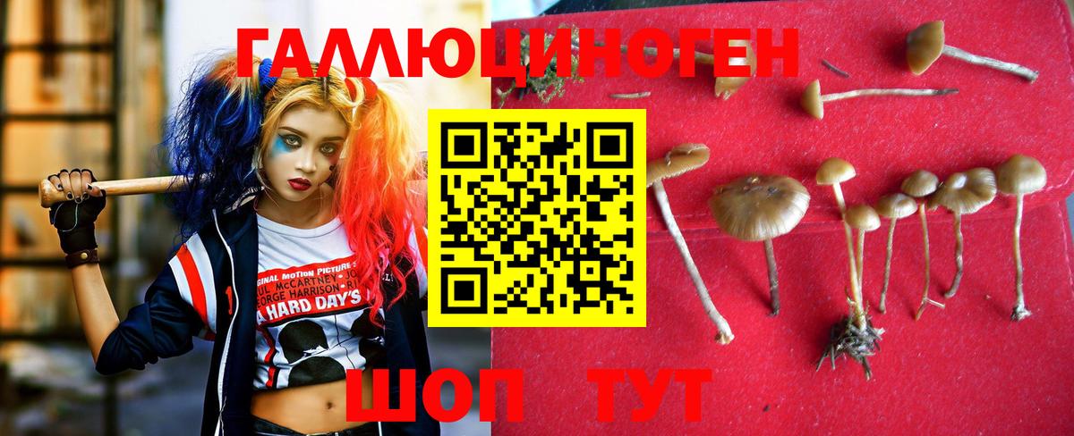 Псилоцибиновые грибы мицелий Павловский Посад