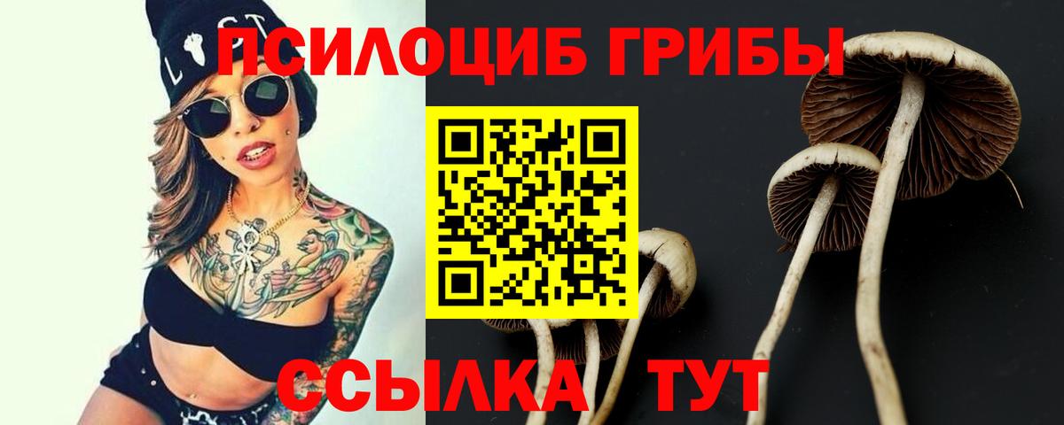 Галлюциногенные грибы MAGIC MUSHROOMS  Вход с VPN  Павловский Посад  Галлюциногенные грибы GOLDEN TEACHER 